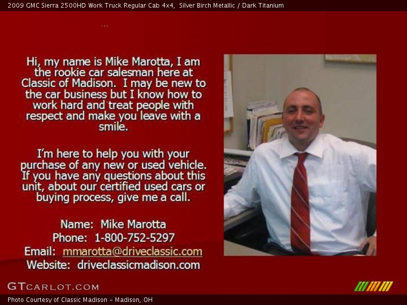 Silver Birch Metallic / Dark Titanium 2009 GMC Sierra 2500HD Work Truck Regular Cab 4x4