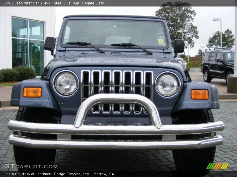 Steel Blue Pearl / Agate Black 2002 Jeep Wrangler X 4x4