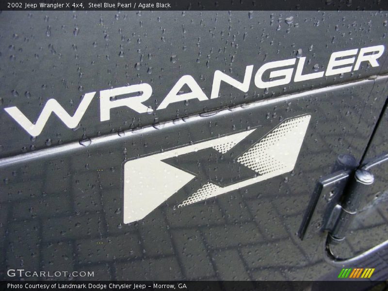 Steel Blue Pearl / Agate Black 2002 Jeep Wrangler X 4x4