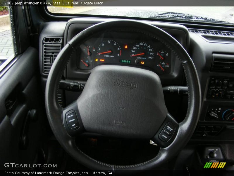 Steel Blue Pearl / Agate Black 2002 Jeep Wrangler X 4x4