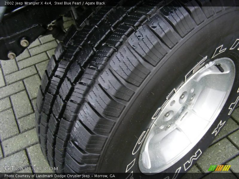 Steel Blue Pearl / Agate Black 2002 Jeep Wrangler X 4x4