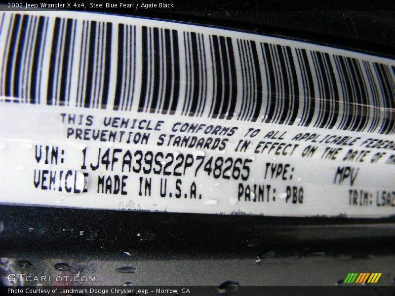 Steel Blue Pearl / Agate Black 2002 Jeep Wrangler X 4x4