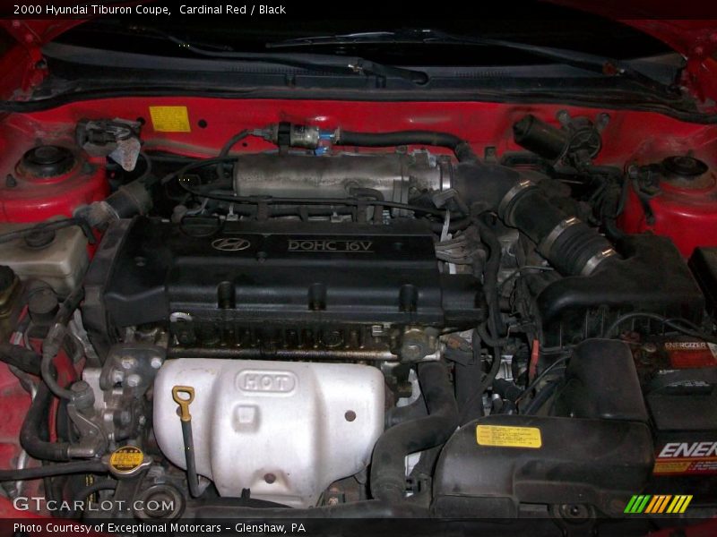 Cardinal Red / Black 2000 Hyundai Tiburon Coupe