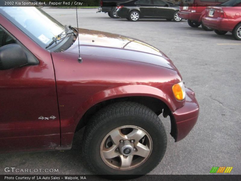 Pepper Red / Gray 2002 Kia Sportage 4x4