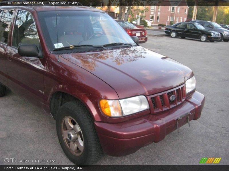 Pepper Red / Gray 2002 Kia Sportage 4x4