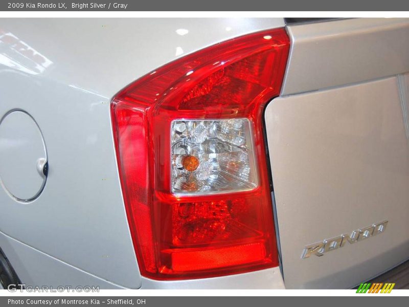 Bright Silver / Gray 2009 Kia Rondo LX