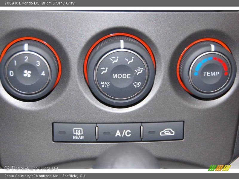 Bright Silver / Gray 2009 Kia Rondo LX