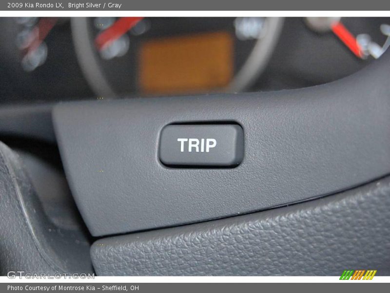 Bright Silver / Gray 2009 Kia Rondo LX