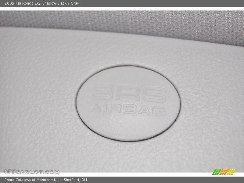 Shadow Black / Gray 2009 Kia Rondo LX