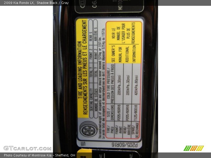 Shadow Black / Gray 2009 Kia Rondo LX