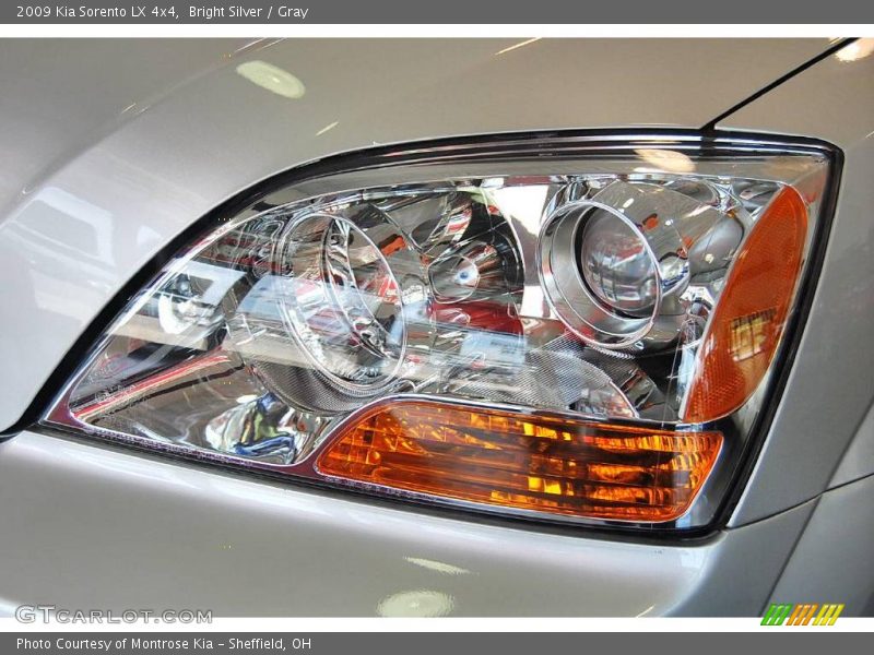 Bright Silver / Gray 2009 Kia Sorento LX 4x4