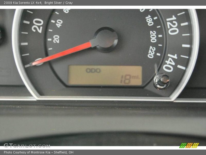 Bright Silver / Gray 2009 Kia Sorento LX 4x4