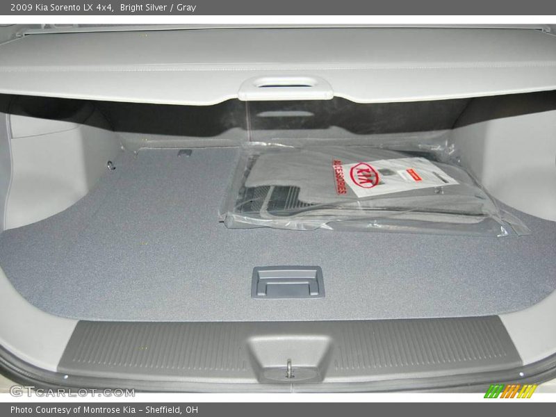 Bright Silver / Gray 2009 Kia Sorento LX 4x4