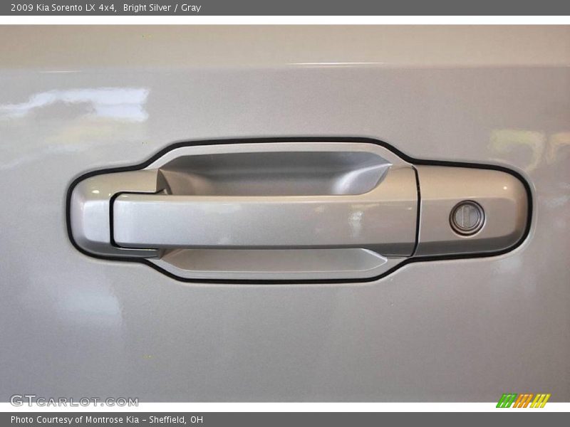 Bright Silver / Gray 2009 Kia Sorento LX 4x4