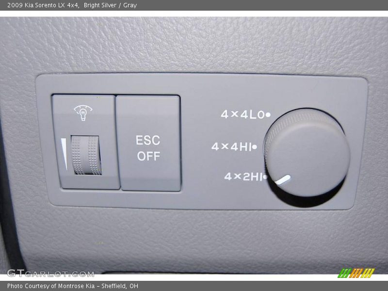 Bright Silver / Gray 2009 Kia Sorento LX 4x4