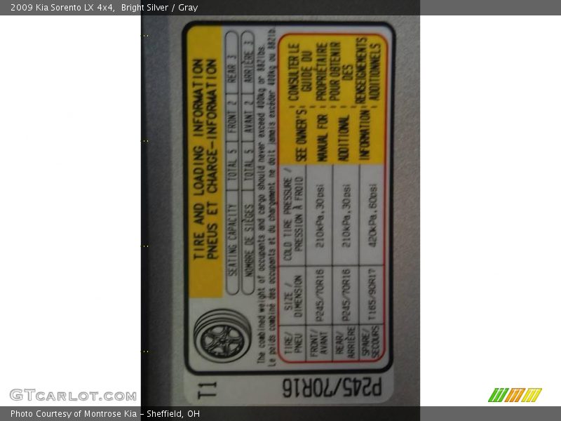 Bright Silver / Gray 2009 Kia Sorento LX 4x4