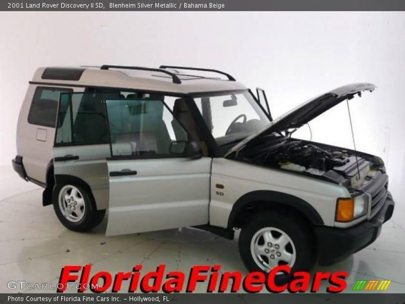Blenheim Silver Metallic / Bahama Beige 2001 Land Rover Discovery II SD