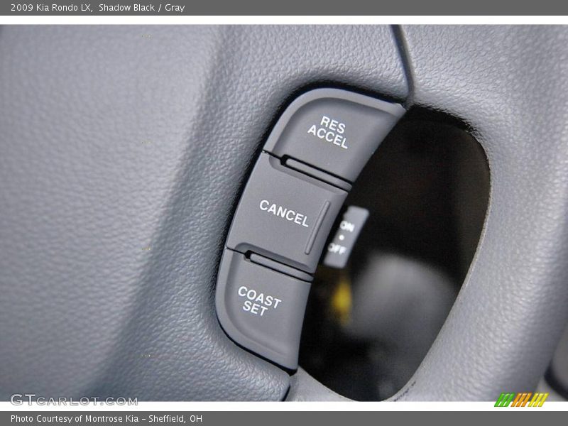 Shadow Black / Gray 2009 Kia Rondo LX