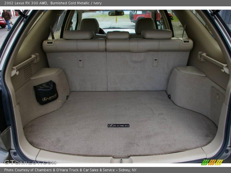 Burnished Gold Metallic / Ivory 2002 Lexus RX 300 AWD
