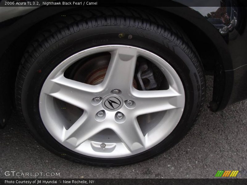 Nighthawk Black Pearl / Camel 2006 Acura TL 3.2