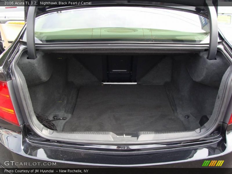 Nighthawk Black Pearl / Camel 2006 Acura TL 3.2