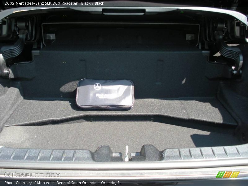 Black / Black 2009 Mercedes-Benz SLK 300 Roadster