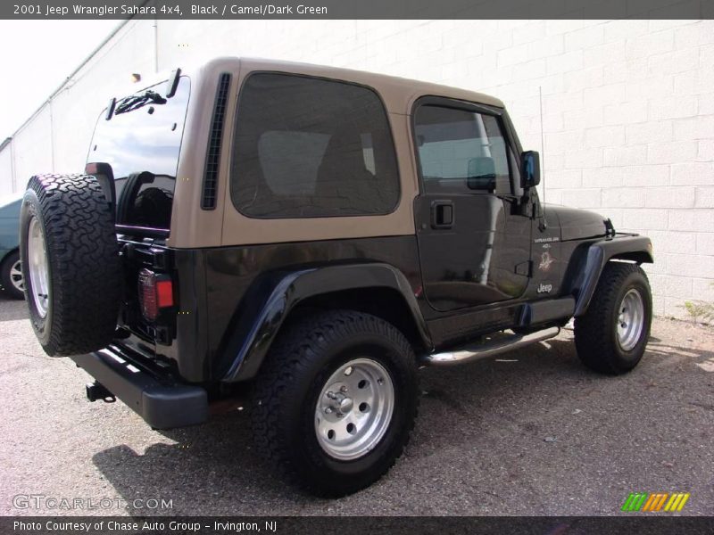 Black / Camel/Dark Green 2001 Jeep Wrangler Sahara 4x4