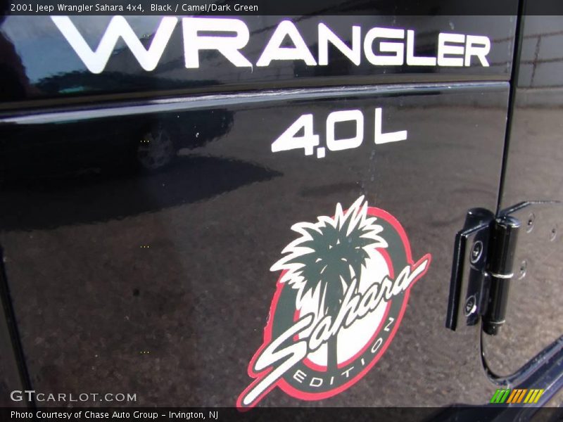 Black / Camel/Dark Green 2001 Jeep Wrangler Sahara 4x4
