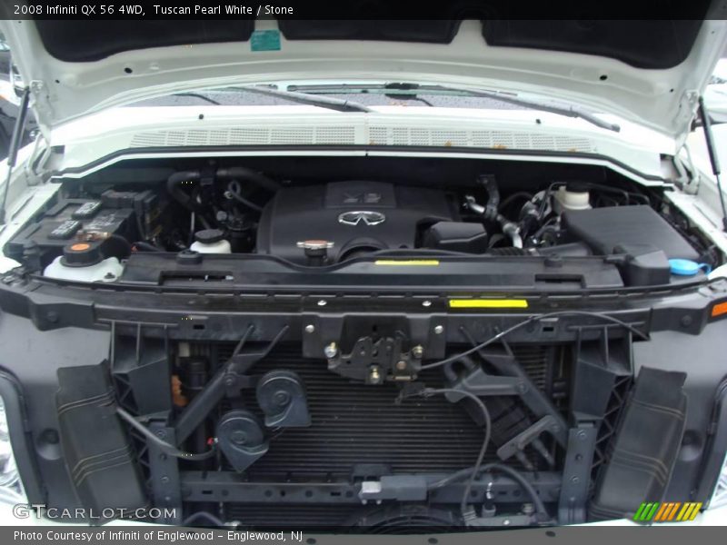 Tuscan Pearl White / Stone 2008 Infiniti QX 56 4WD