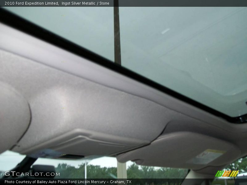 Ingot Silver Metallic / Stone 2010 Ford Expedition Limited