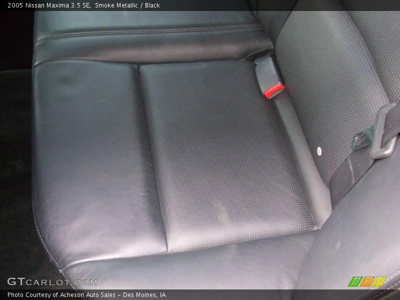 Smoke Metallic / Black 2005 Nissan Maxima 3.5 SE