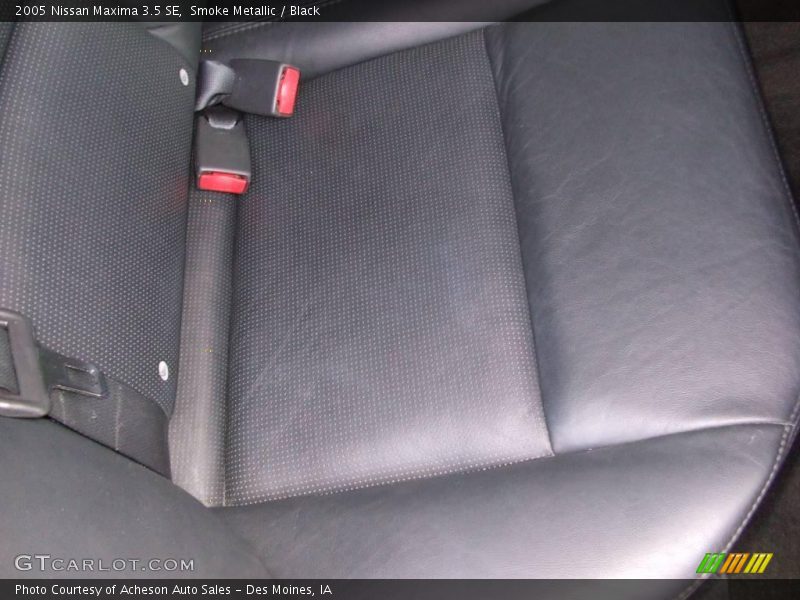 Smoke Metallic / Black 2005 Nissan Maxima 3.5 SE