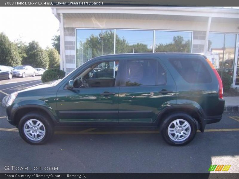 Clover Green Pearl / Saddle 2003 Honda CR-V EX 4WD