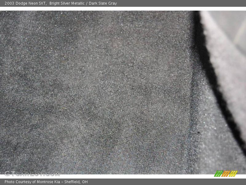 Bright Silver Metallic / Dark Slate Gray 2003 Dodge Neon SXT