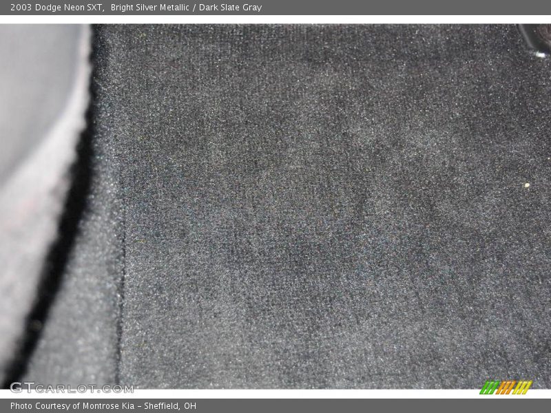 Bright Silver Metallic / Dark Slate Gray 2003 Dodge Neon SXT