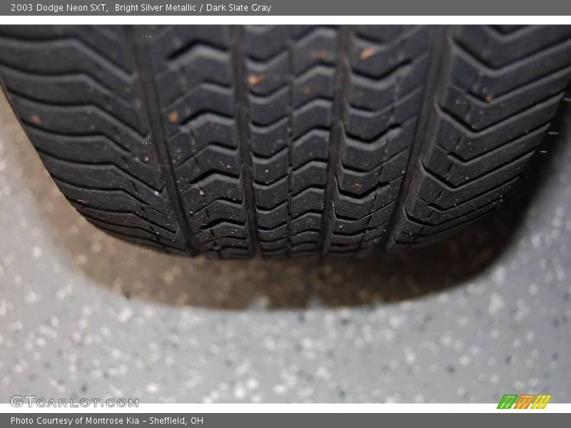 Bright Silver Metallic / Dark Slate Gray 2003 Dodge Neon SXT