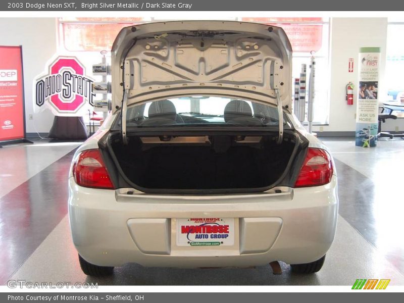 Bright Silver Metallic / Dark Slate Gray 2003 Dodge Neon SXT