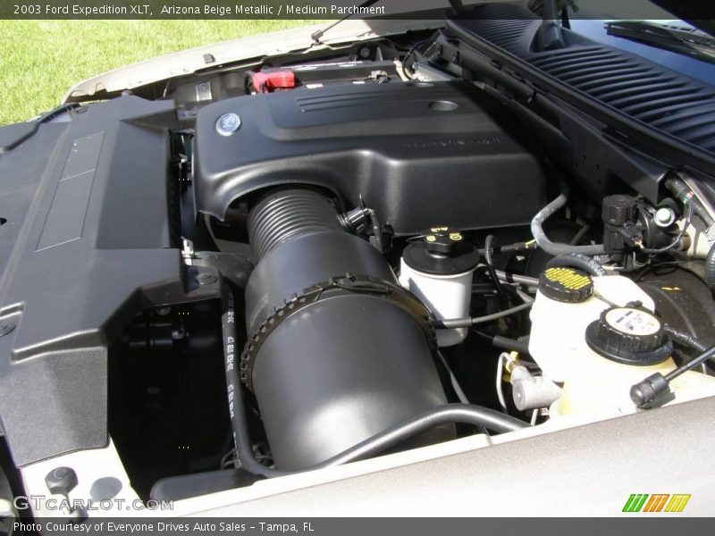 Arizona Beige Metallic / Medium Parchment 2003 Ford Expedition XLT