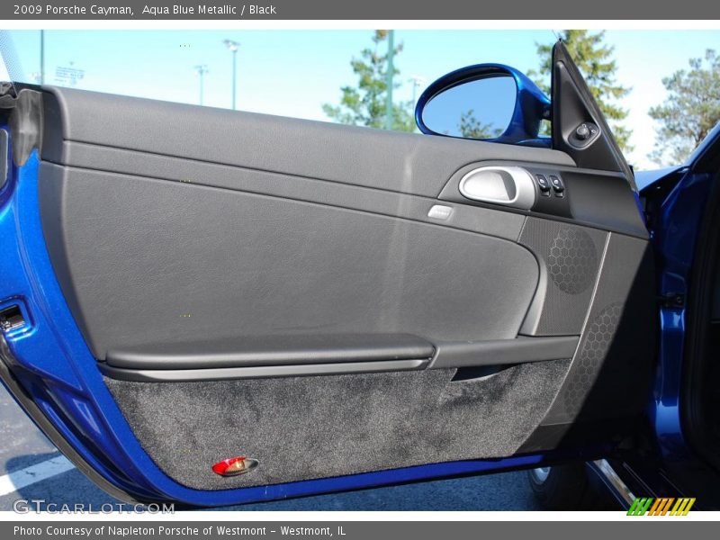 Door Panel of 2009 Cayman 