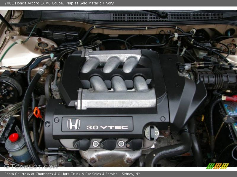 Naples Gold Metallic / Ivory 2001 Honda Accord LX V6 Coupe