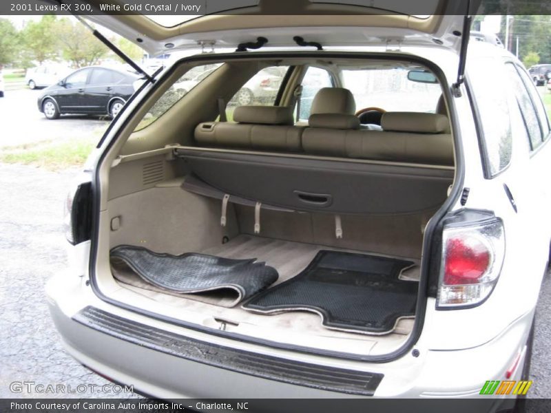 White Gold Crystal / Ivory 2001 Lexus RX 300
