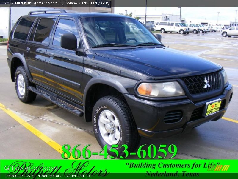 Solano Black Pearl / Gray 2002 Mitsubishi Montero Sport ES