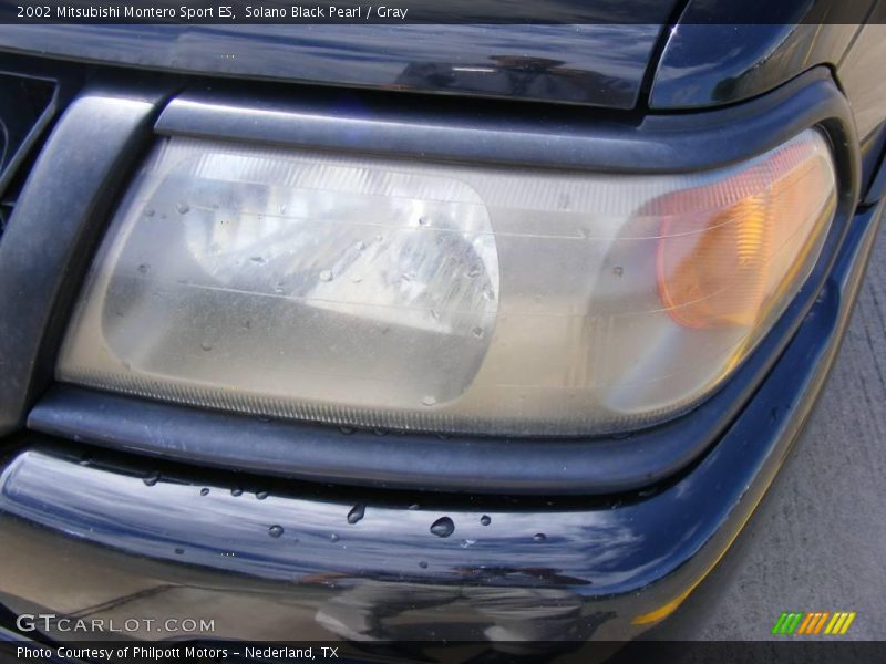 Solano Black Pearl / Gray 2002 Mitsubishi Montero Sport ES