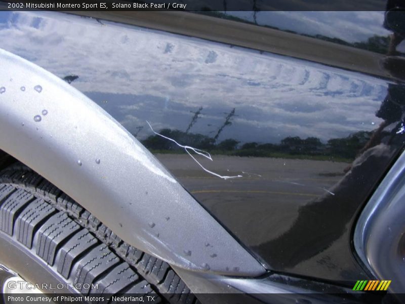 Solano Black Pearl / Gray 2002 Mitsubishi Montero Sport ES
