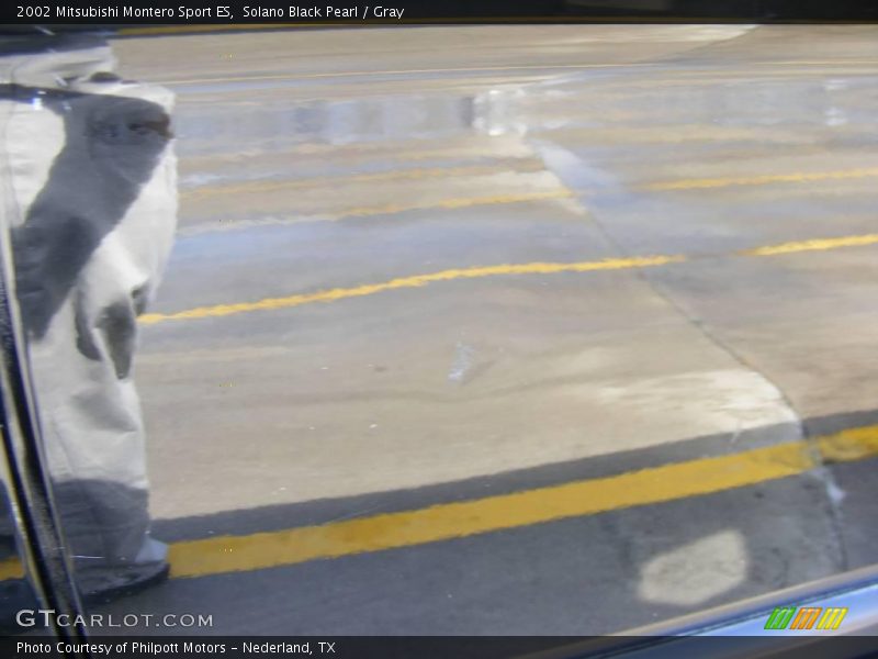 Solano Black Pearl / Gray 2002 Mitsubishi Montero Sport ES