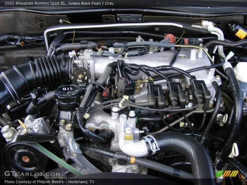 Solano Black Pearl / Gray 2002 Mitsubishi Montero Sport ES