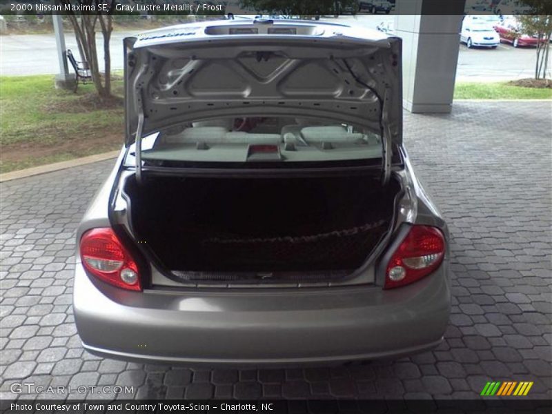 Gray Lustre Metallic / Frost 2000 Nissan Maxima SE