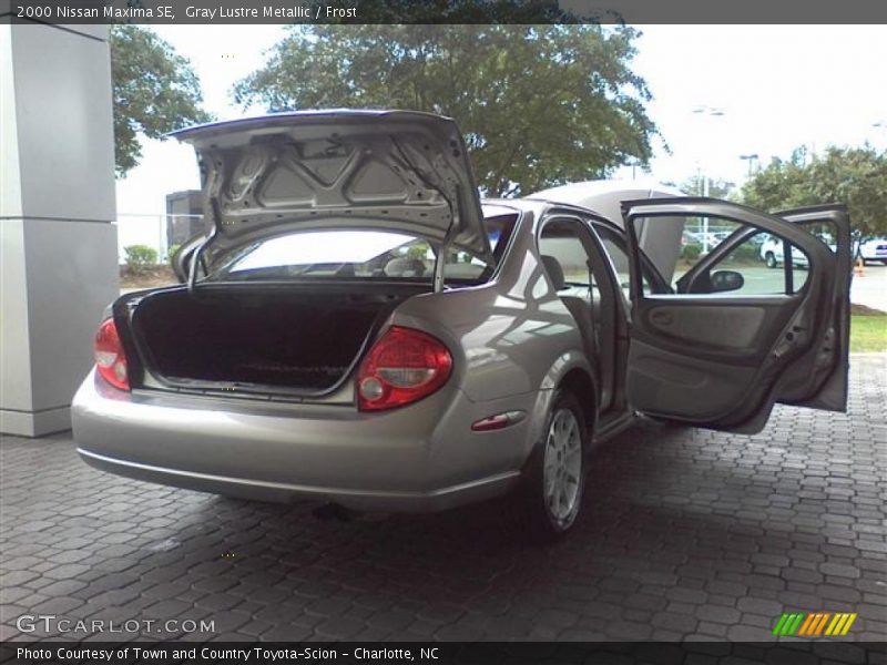 Gray Lustre Metallic / Frost 2000 Nissan Maxima SE
