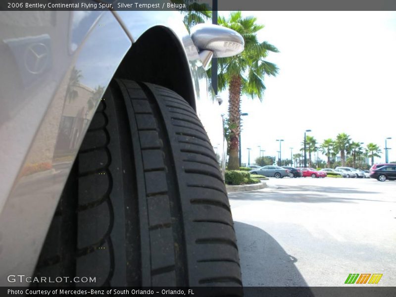 Silver Tempest / Beluga 2006 Bentley Continental Flying Spur