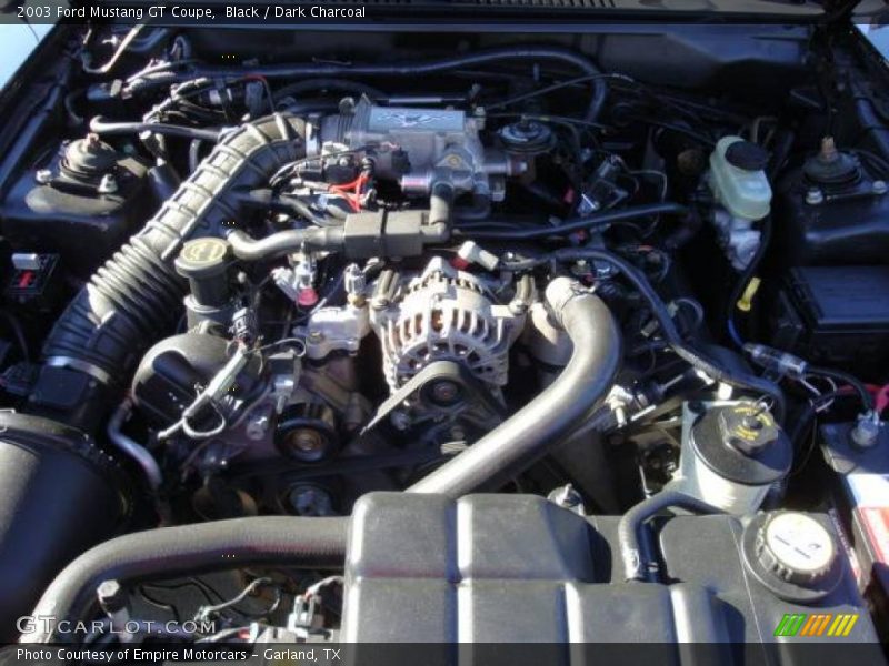 Black / Dark Charcoal 2003 Ford Mustang GT Coupe
